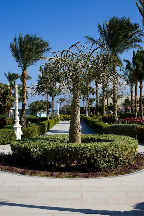 Saudi Aramco Al Hasa Special Needs Schools
